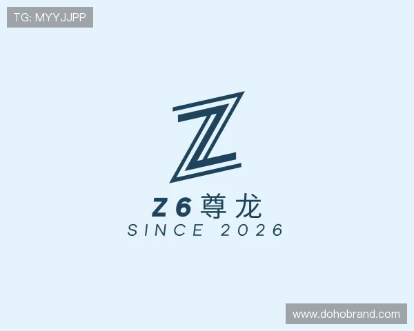 解读Z6尊龙