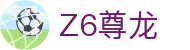 尊龙·Z6 (中国认证)集团有限公司官网